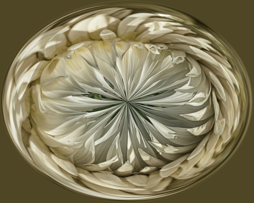 Manipulated Art In Class A By Ann Lombardi For WHITE DAHLIA JAN-2019.jpg